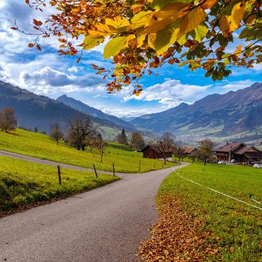 Herbst über dem Kander- und Engstligental: Dieses farbenfrohe Bild hat Martin Wenger (Frutigen) auf einer kleinen Biketour zwischen Scharnachtal und Faltschen gemacht.