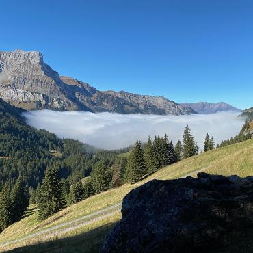Nebelfotos aus dem hinteren Kiental von Peter von Känel-Stoller.