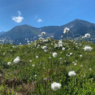 Wanderung auf die Wetterlatte - Bilder: Peter von Känel-Stoller