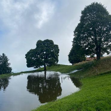 Nach den ergiebigen Regenfällen hat sich auf dem Sittenboden oberhalb Faltschen ein See gebildet. - Bilder: Peter von Känel-Stoller