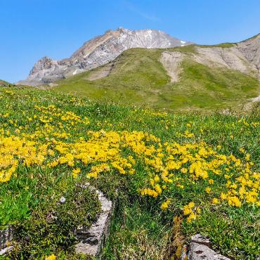 Leserbilder vom Juni - BILD: PAUL WERMUTH