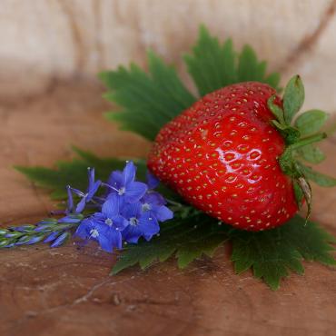 Die ersten Erdbeeren schmecken am besten, fotografiert von Therese Zaugg.