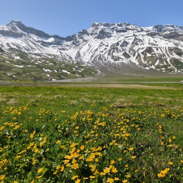 Engstligenalp von Paul Wermuth