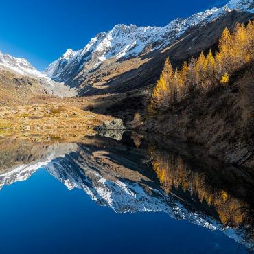 Herbst im Lötschental. Bild: Martin Wenger