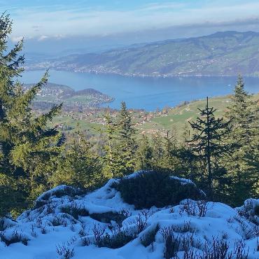 Zwischen Herbst und Winter. Bild: Peter von Känel, Scharnachtal