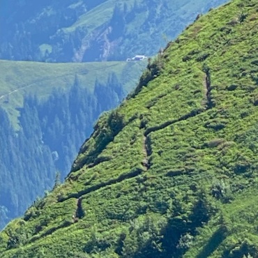 Wanderung auf die Wetterlatte - Bilder: Peter von Känel-Stoller