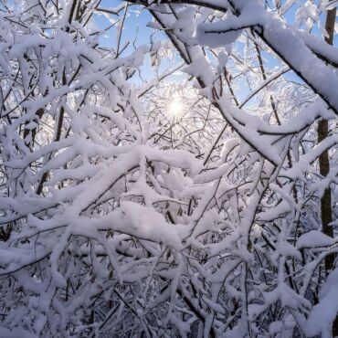 Diese fotogene Kombination aus Sonne und Schnee hat Martin Wenger für uns festgehalten.