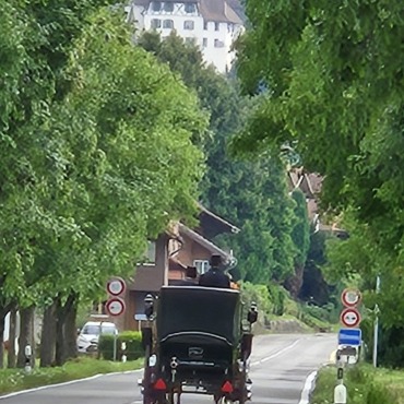 "Der Schlossherr in Wimmis auf der Heimfahrt.", schreibt Ernst von Känel zu seinem Bild.