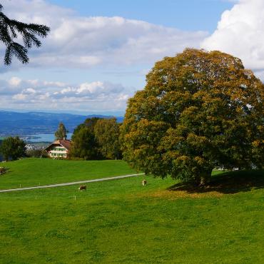 Wunderbarer Herbsttag in Aeschiried, schreibt Therese Zaugg zu ihrem Leserbild