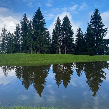 Nach den ergiebigen Regenfällen hat sich auf dem Sittenboden oberhalb Faltschen ein See gebildet. - Bilder: Peter von Känel-Stoller