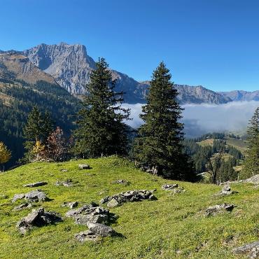 Nebelfotos aus dem hinteren Kiental von Peter von Känel-Stoller.