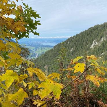 «Es herbschtelet», wie Peter von Känels Foto beweist