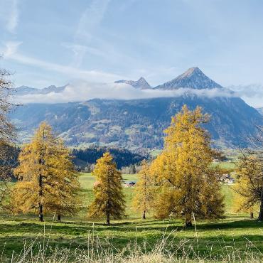 Letzte Herbsttage in Aeschiried fotografiert von Annerös Schneider, Spiez