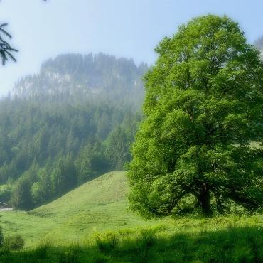 Leserbilder vom Juni - BILD: THERESE ZAUGG