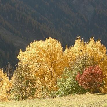 Herbst mit seinen Sonnen- und Schattenseiten. Bild: Ulrich Vogt