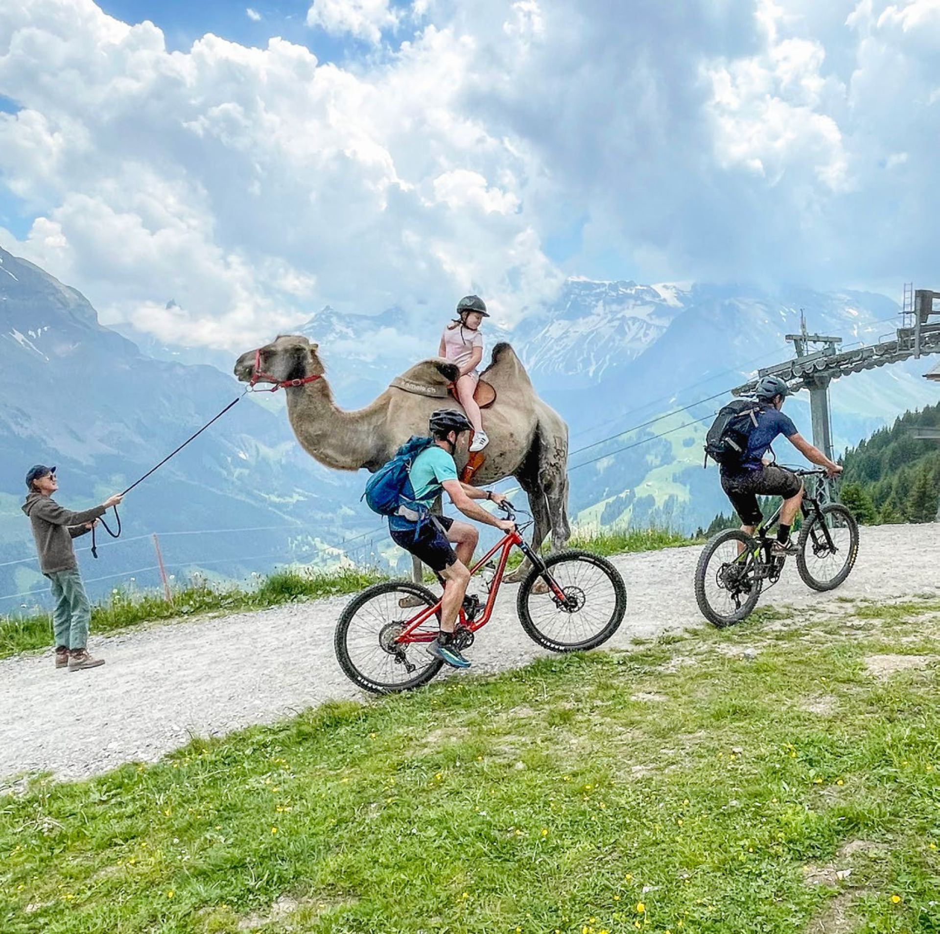 Mit Wüstentieren auf der Alp