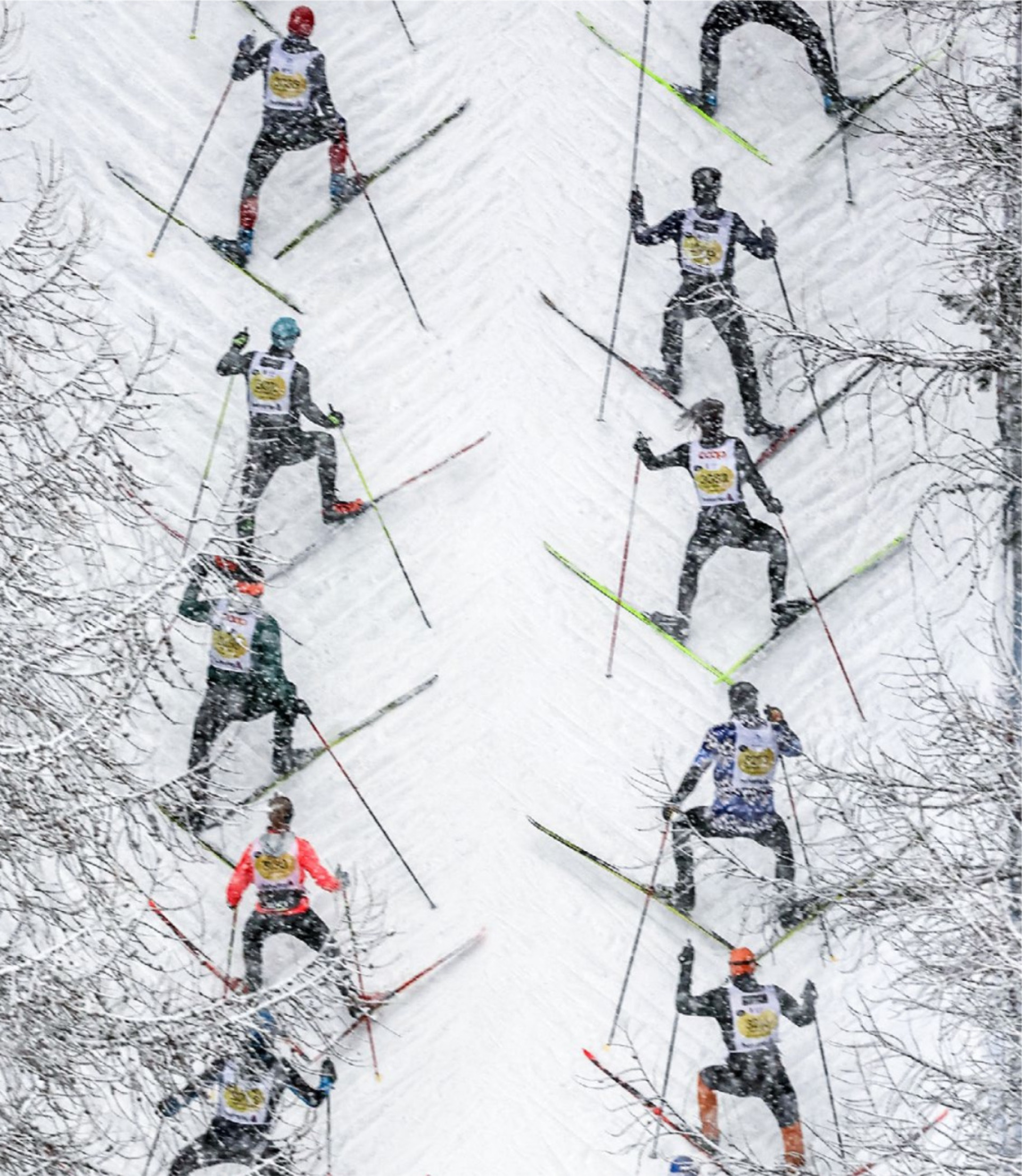 Engadin Skimarathon 2024: Blick auf den «Stau» beim Aufstieg zur Olympia-Schanze BILD: ZVG / ANDY METTLER