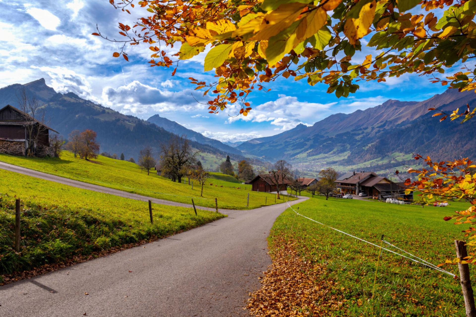 Herbst über dem Kander- und Engstligental: Dieses farbenfrohe Bild hat Martin Wenger (Frutigen) auf einer kleinen Biketour zwischen Scharnachtal und Faltschen gemacht.