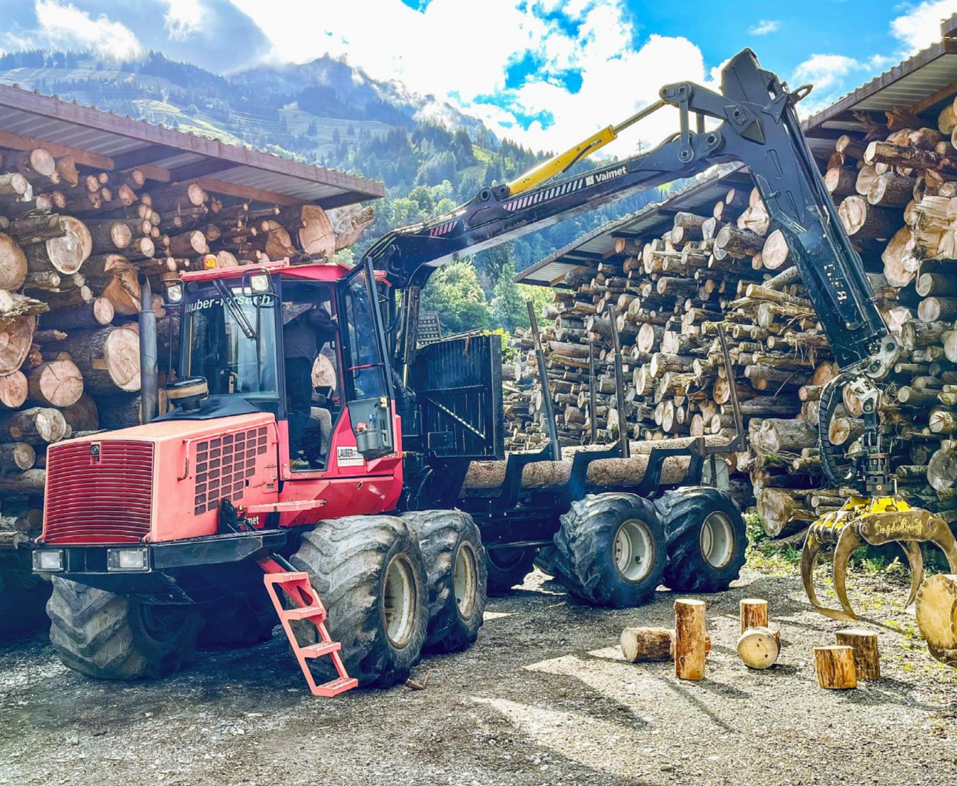 Holz: Vom Wald in die warme Stube - Das Bild wird blockiert. – Möglicherweise durch einen aktiven Adblocker.