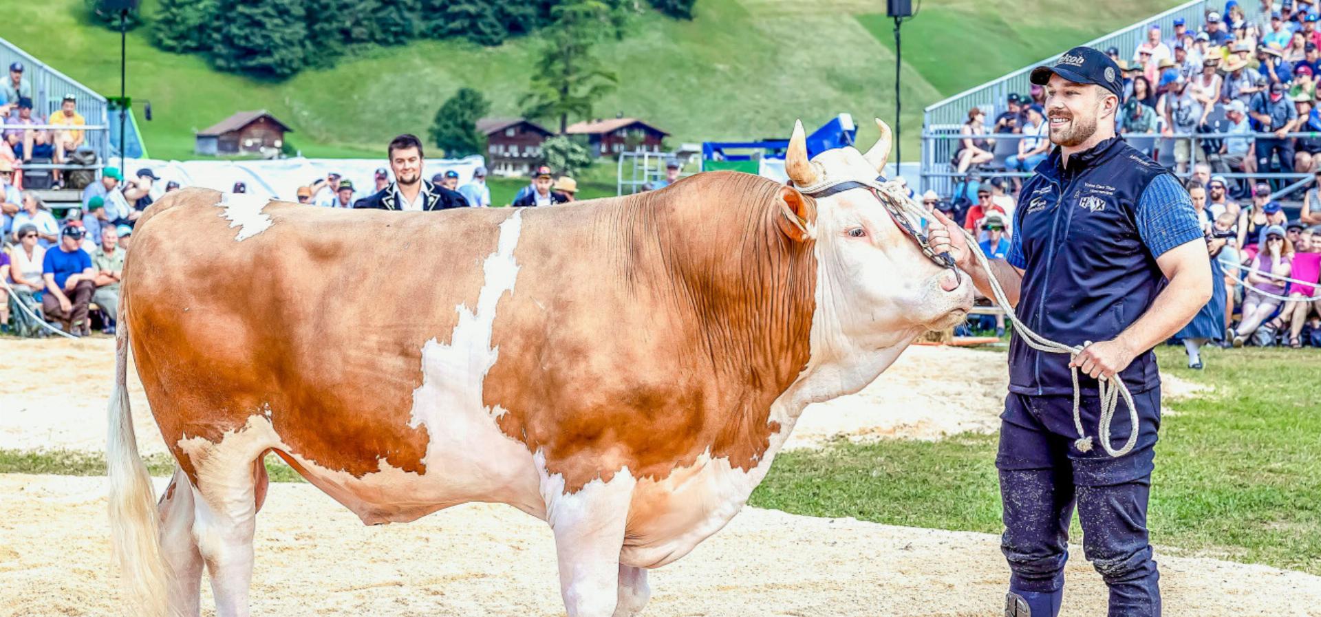 Die erste Bilanz fällt erfreulich aus