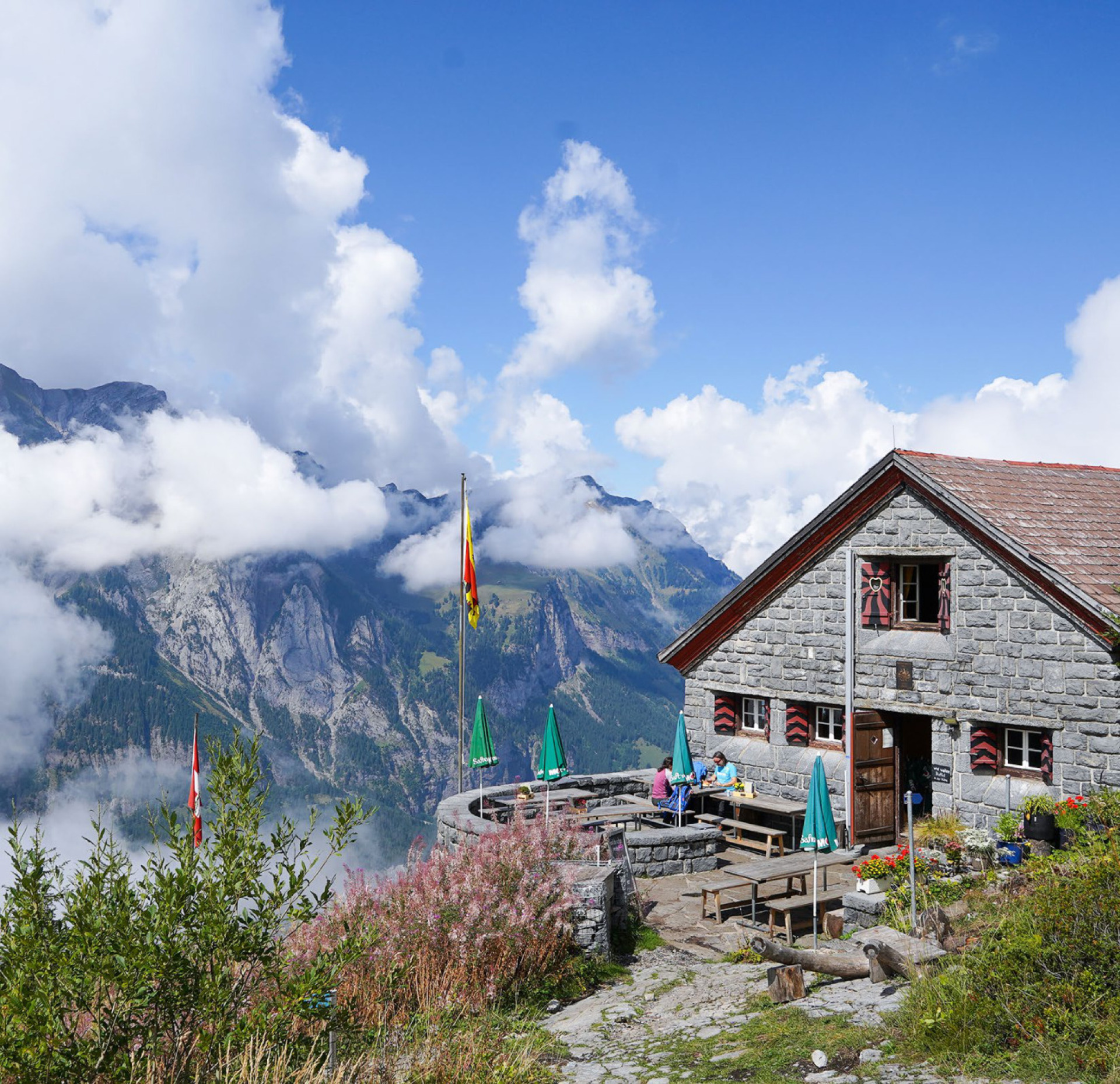 Ein eher schwieriger Sommer