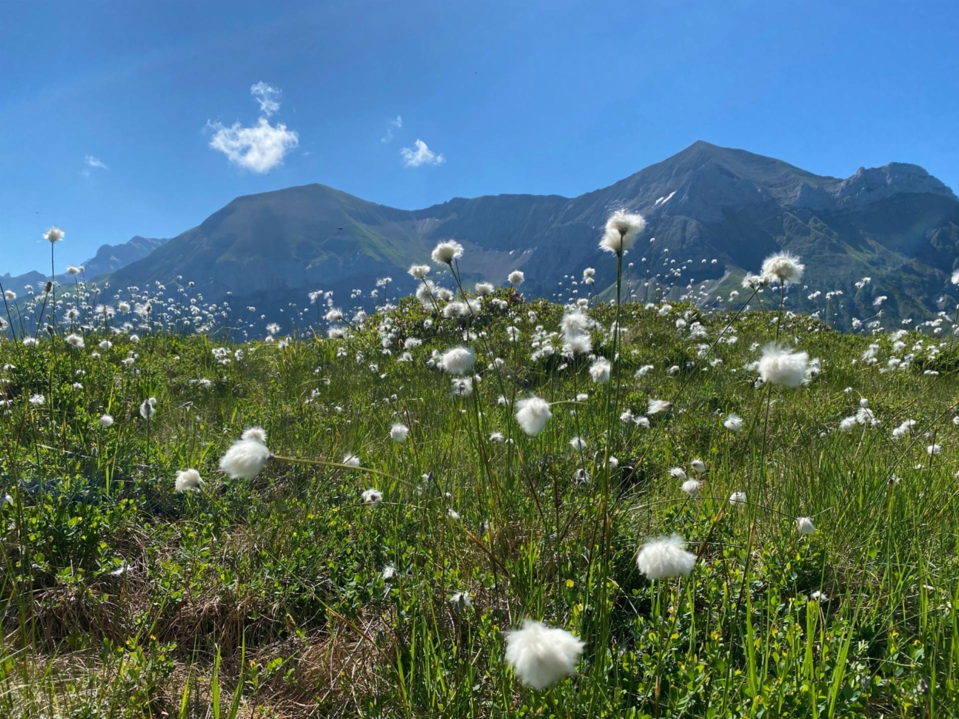 Wanderung auf die Wetterlatte - Bilder: Peter von Känel-Stoller