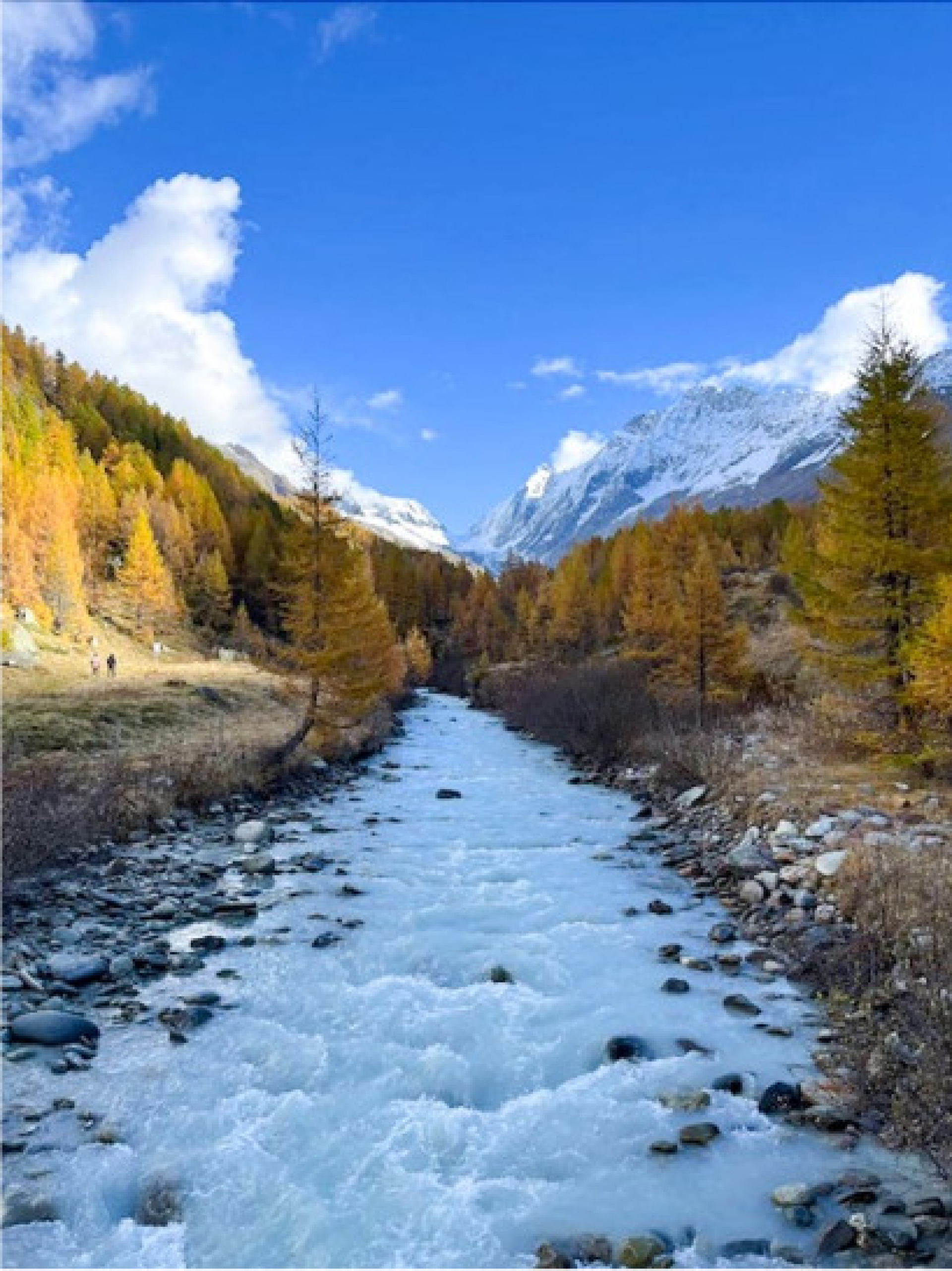 Wenn die Wälder Farbe zeigen