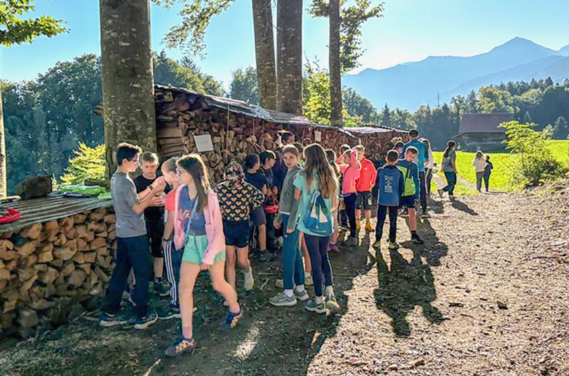 Traditioneller Orientierungslauf im Seeholzwald - Das Bild wird blockiert. – Möglicherweise durch einen aktiven Adblocker.