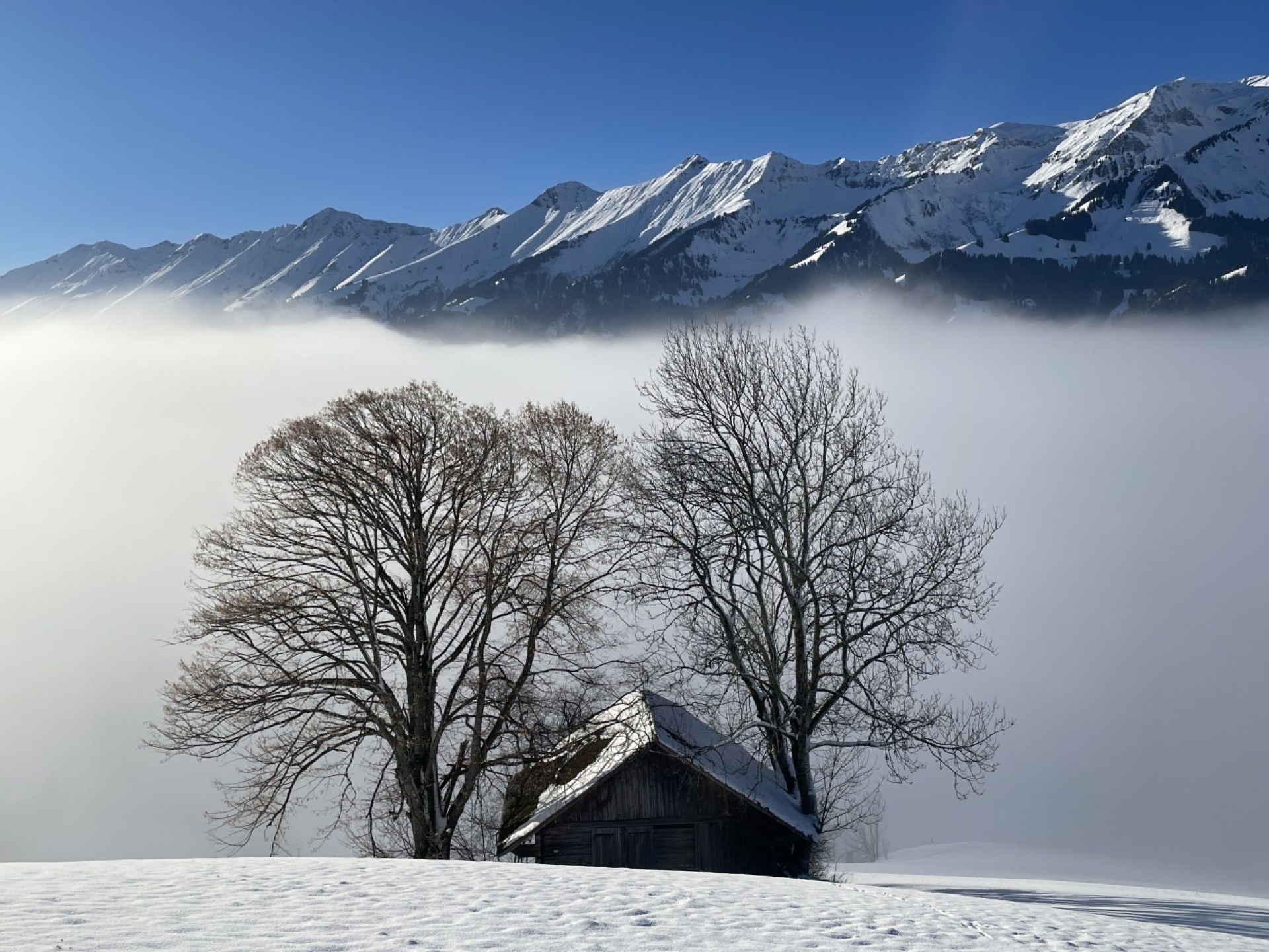 Nebel in Kandertal, ein seltenes Ereignis. Bild: Chlaus Lötscher