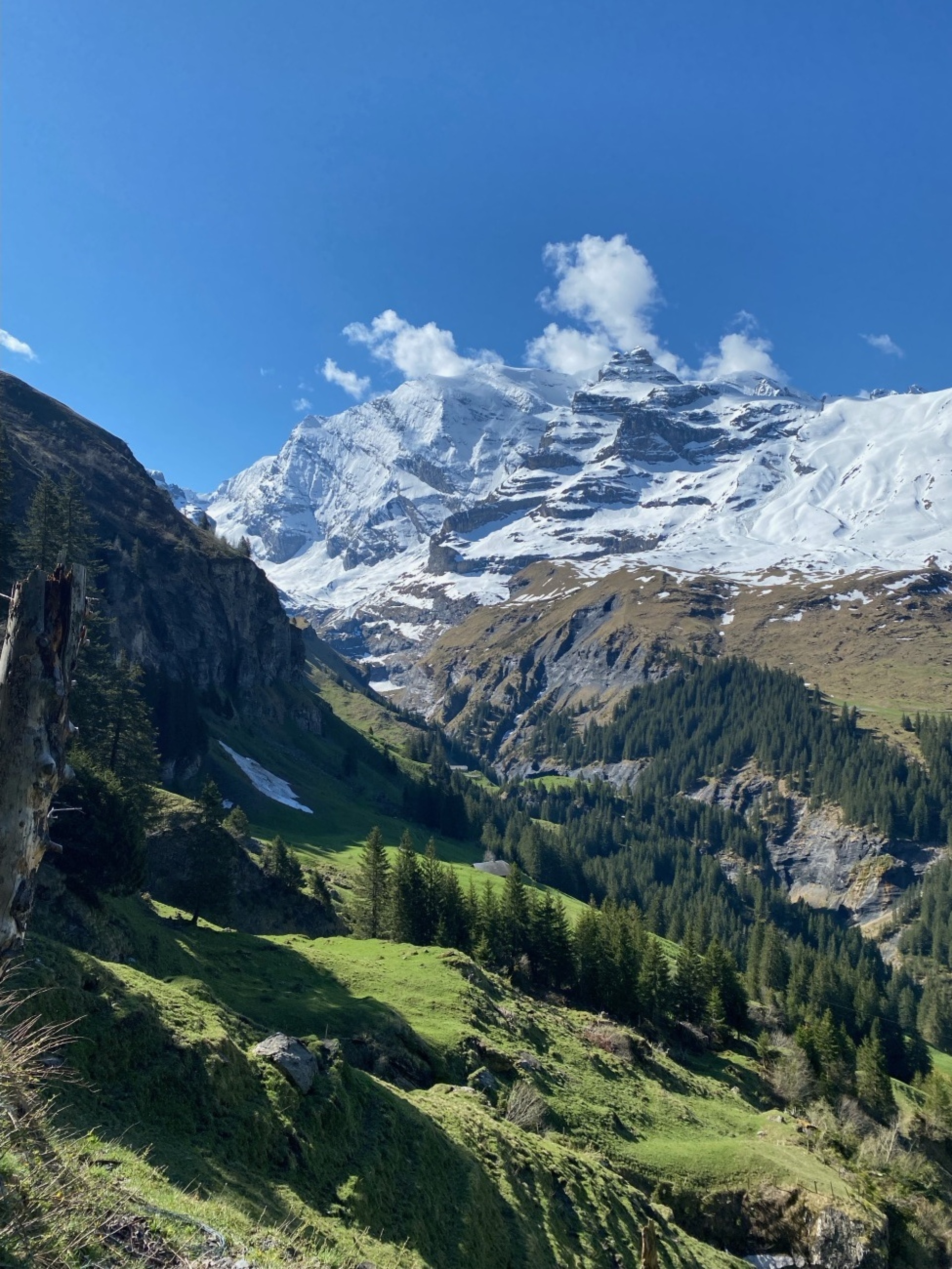 Im hinteren Kiental - Bild: Peter von Känel-Stoller, Scharnachtal