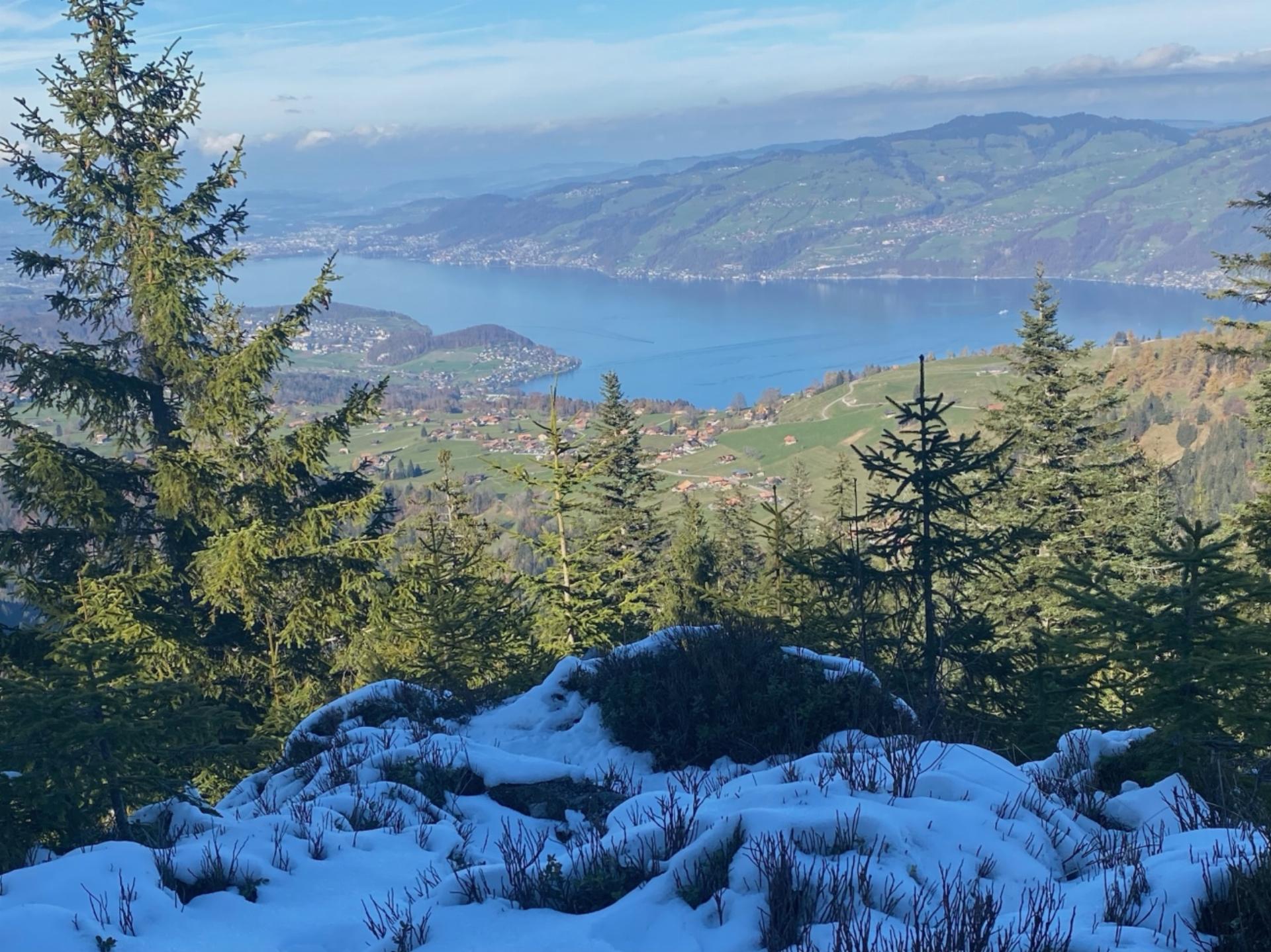 Zwischen Herbst und Winter. Bild: Peter von Känel, Scharnachtal