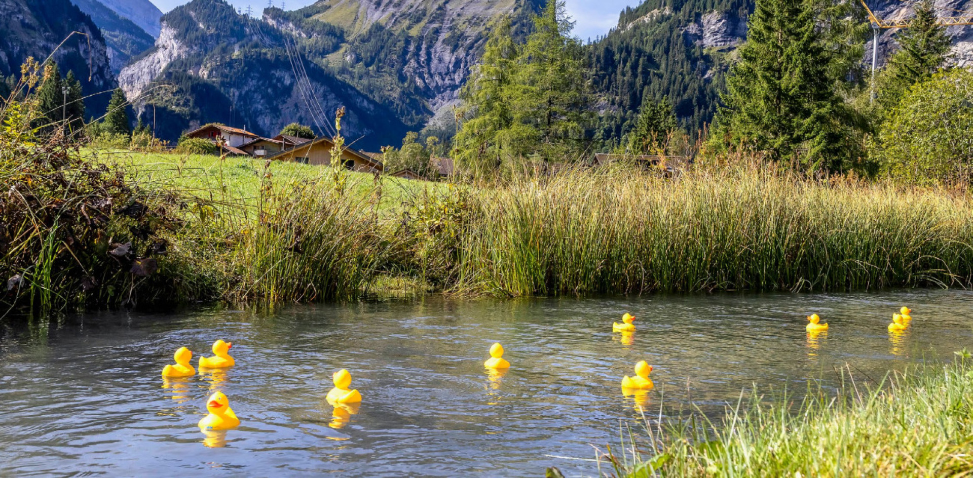 Gelbes Abenteuer auf dem Irfig - Das Bild wird blockiert. – Möglicherweise durch einen aktiven Adblocker.