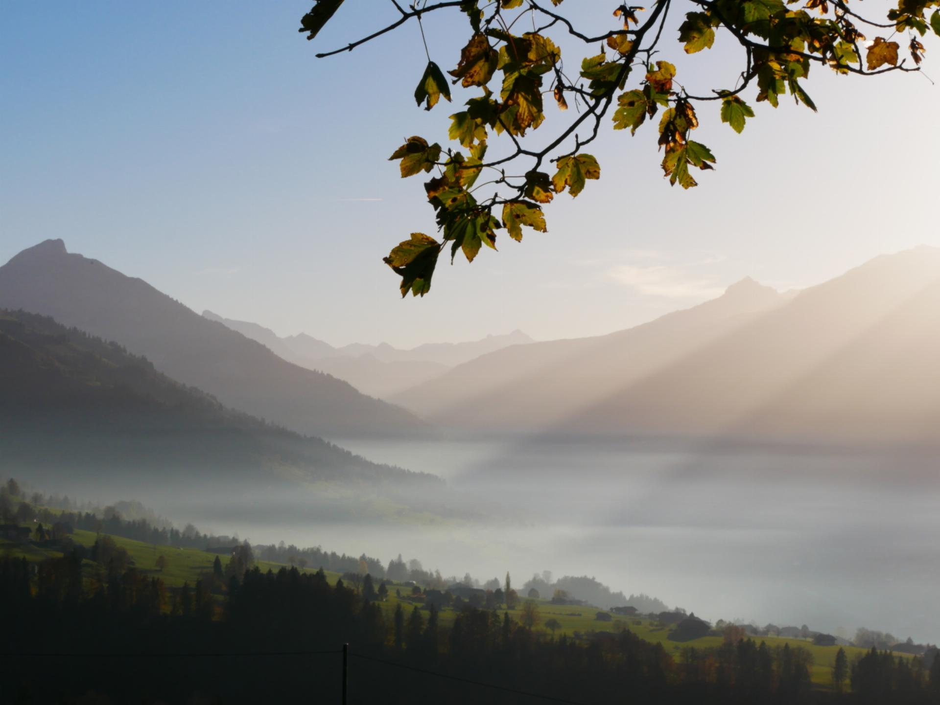 Zarte Nebelschwaden und die letzten Sonnenstrahlen tauchen das Kandertal in ein mystisches Herbstlicht ­ fotografiert von Therese Zaugg aus Aeschired.