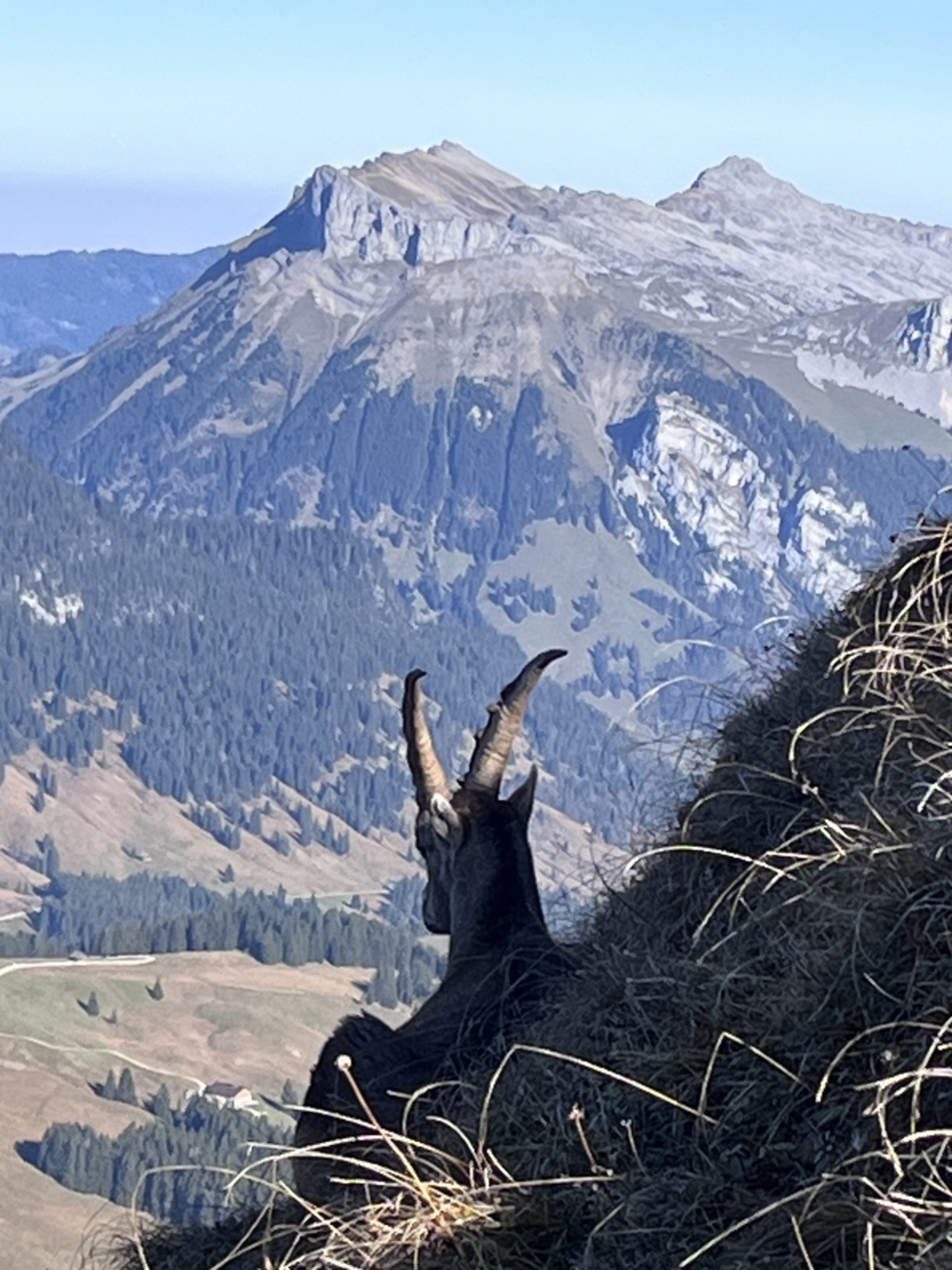 Die Frutigerin Erika Bärtschi genoss eine aussichtsreiche Wanderung aufs Augstmatthorn