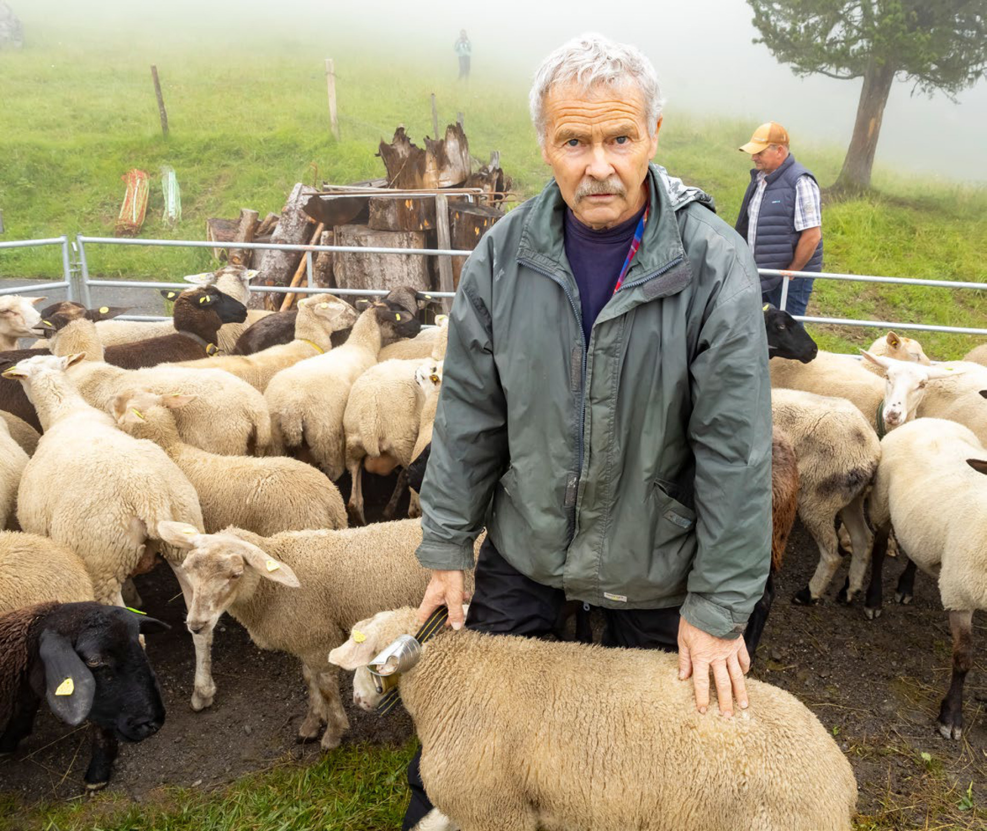 Das brutale Ende eines Alpsommers