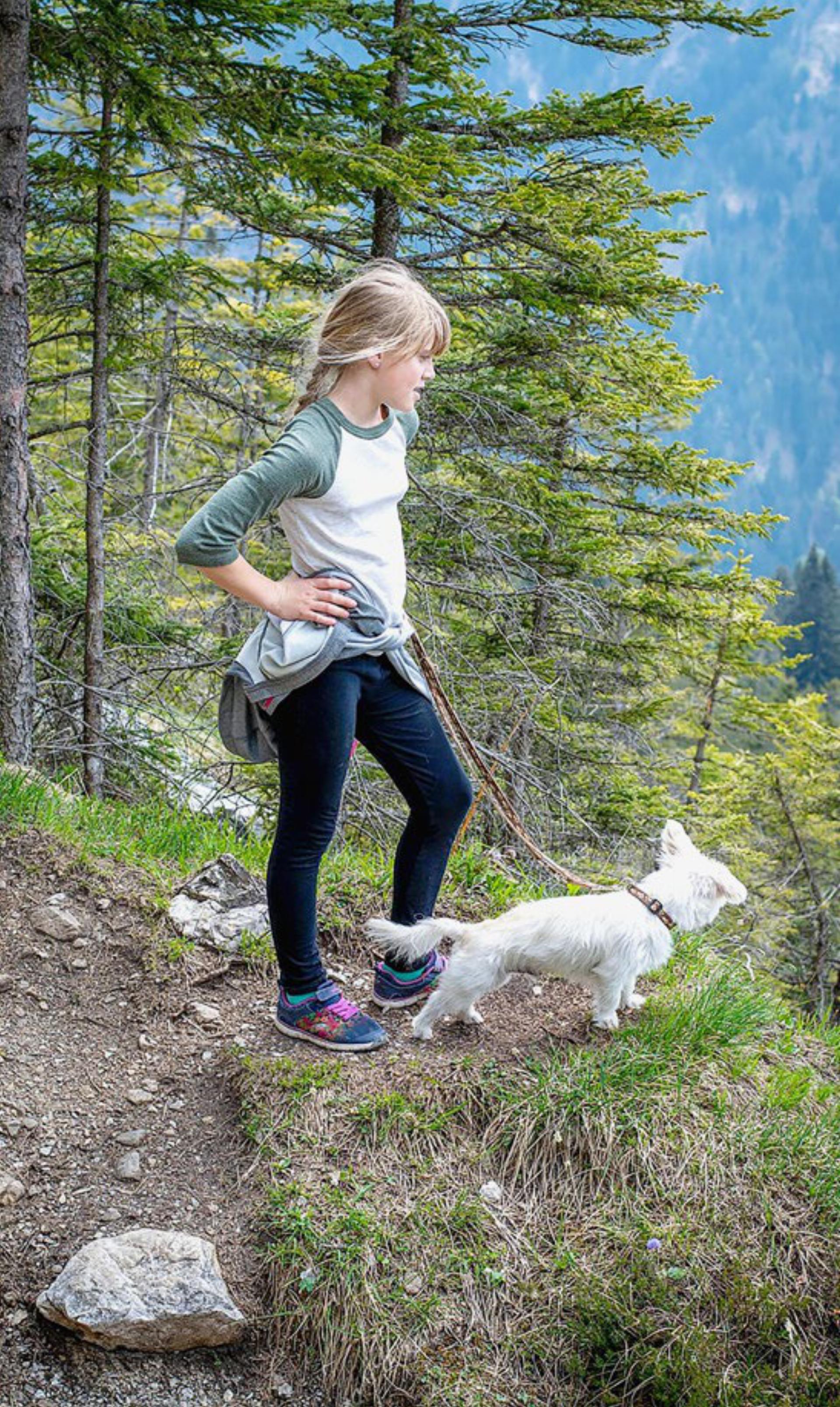 Hunde im Mittelpunkt