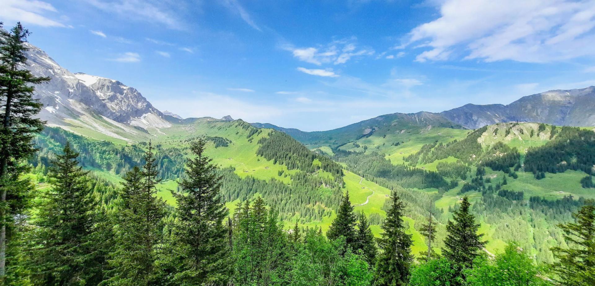 Panoramawanderung mit Talblick - Das Bild wird blockiert. – Möglicherweise durch einen aktiven Adblocker.