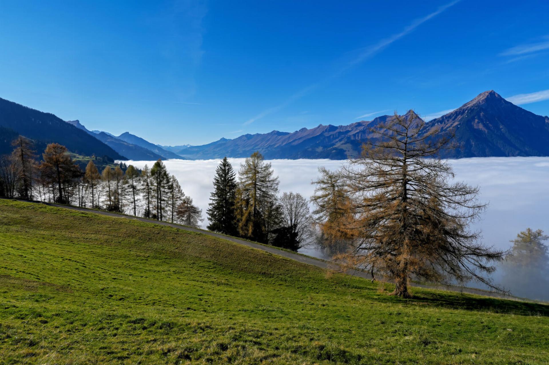 Oben blau, unten grau: Bild: Martin Wenger
