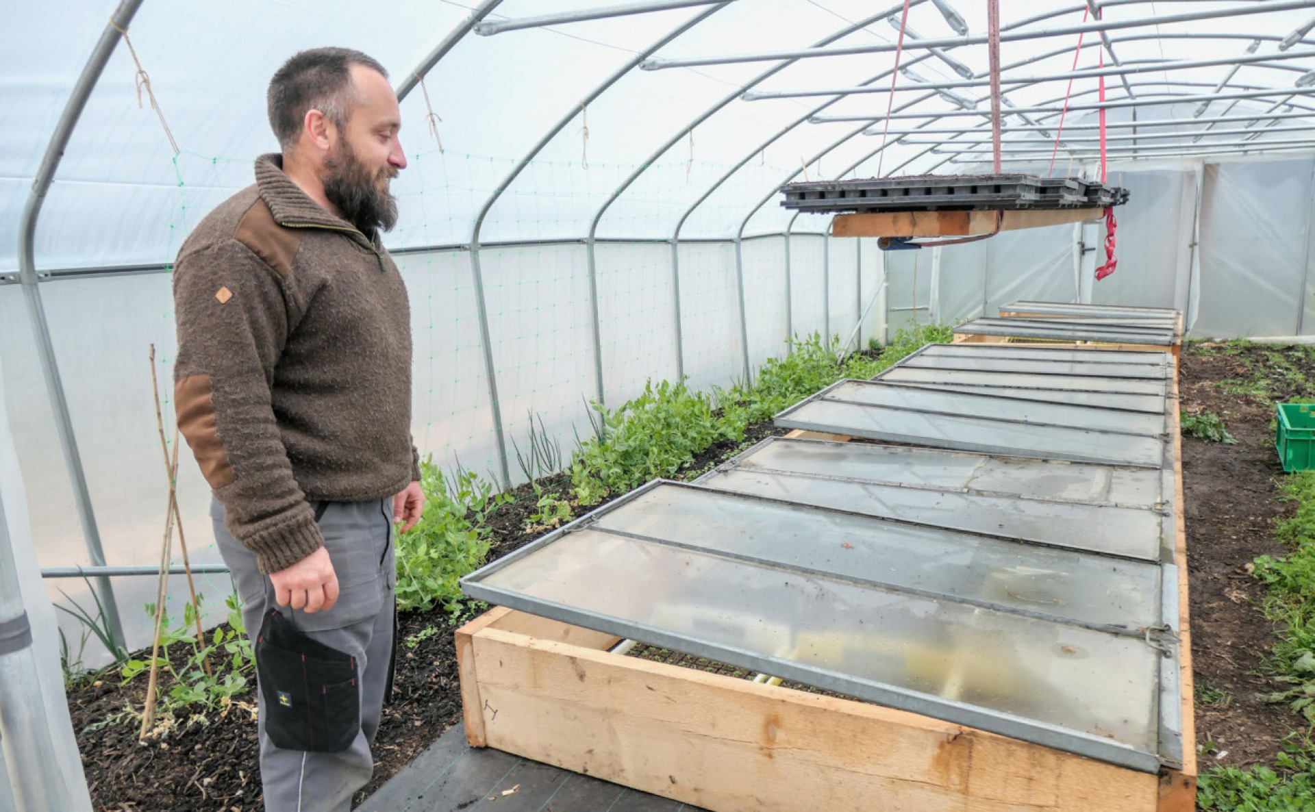 Das Label «Bio Cuisine» will mehr Bio in der Gastronomie