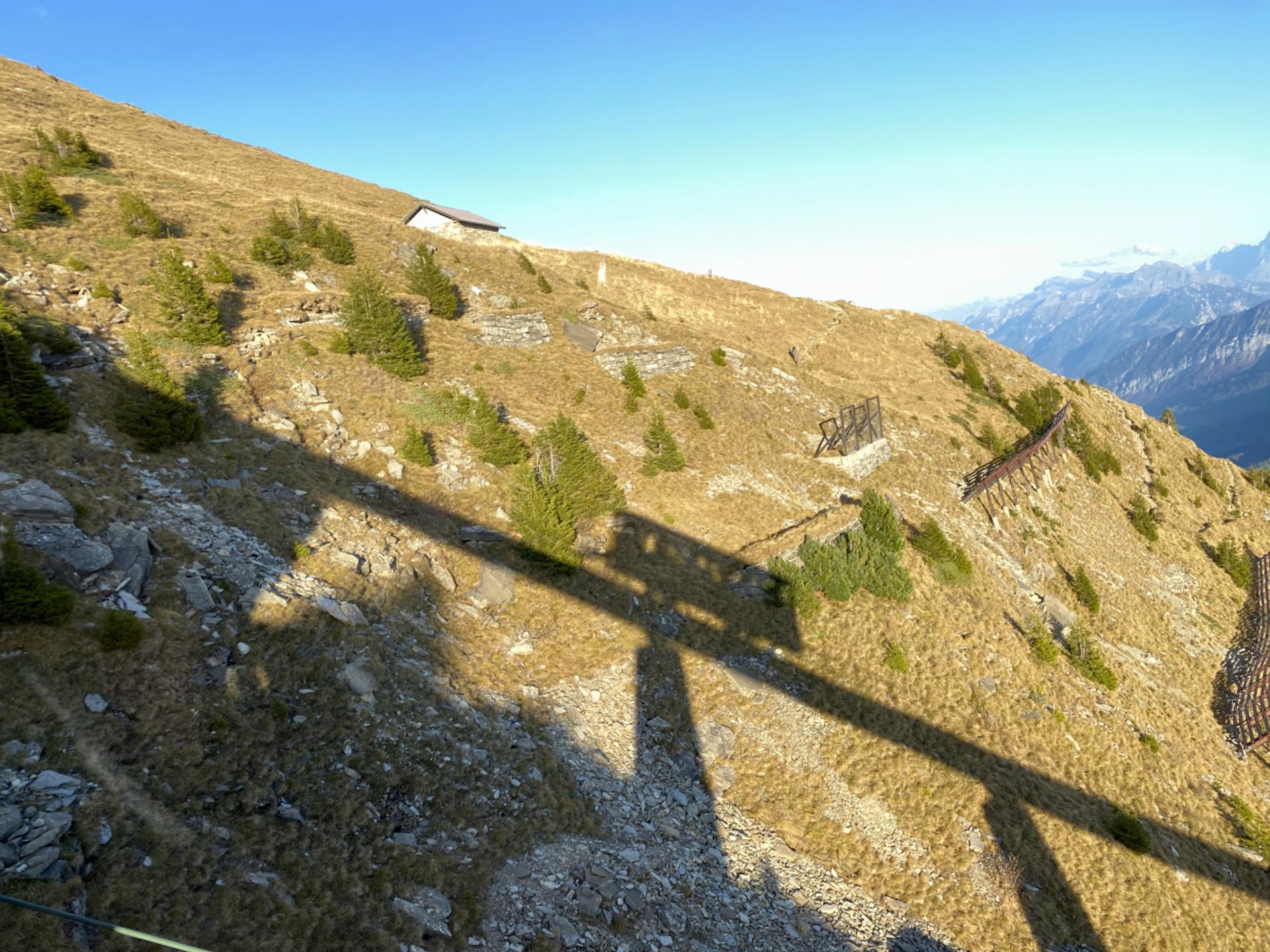 Was fährt denn da? Wer sich im Frutigland auskennt, weiss auch, wozu dieser Schatten gehört. Fotografiert von Hansruedi Zahler. 