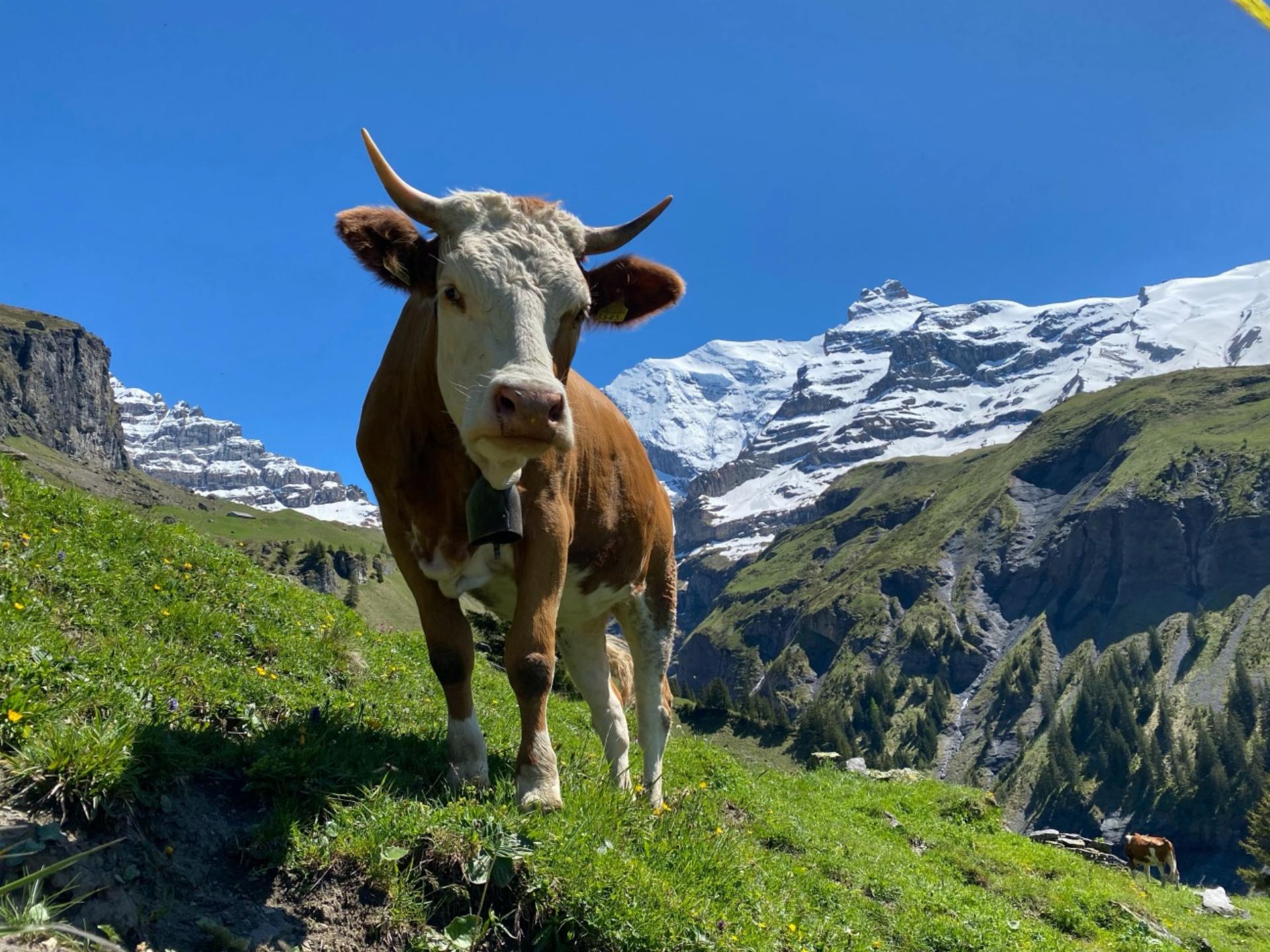 Hinteres Kiental - Bilder: Peter von Känel-Stoller