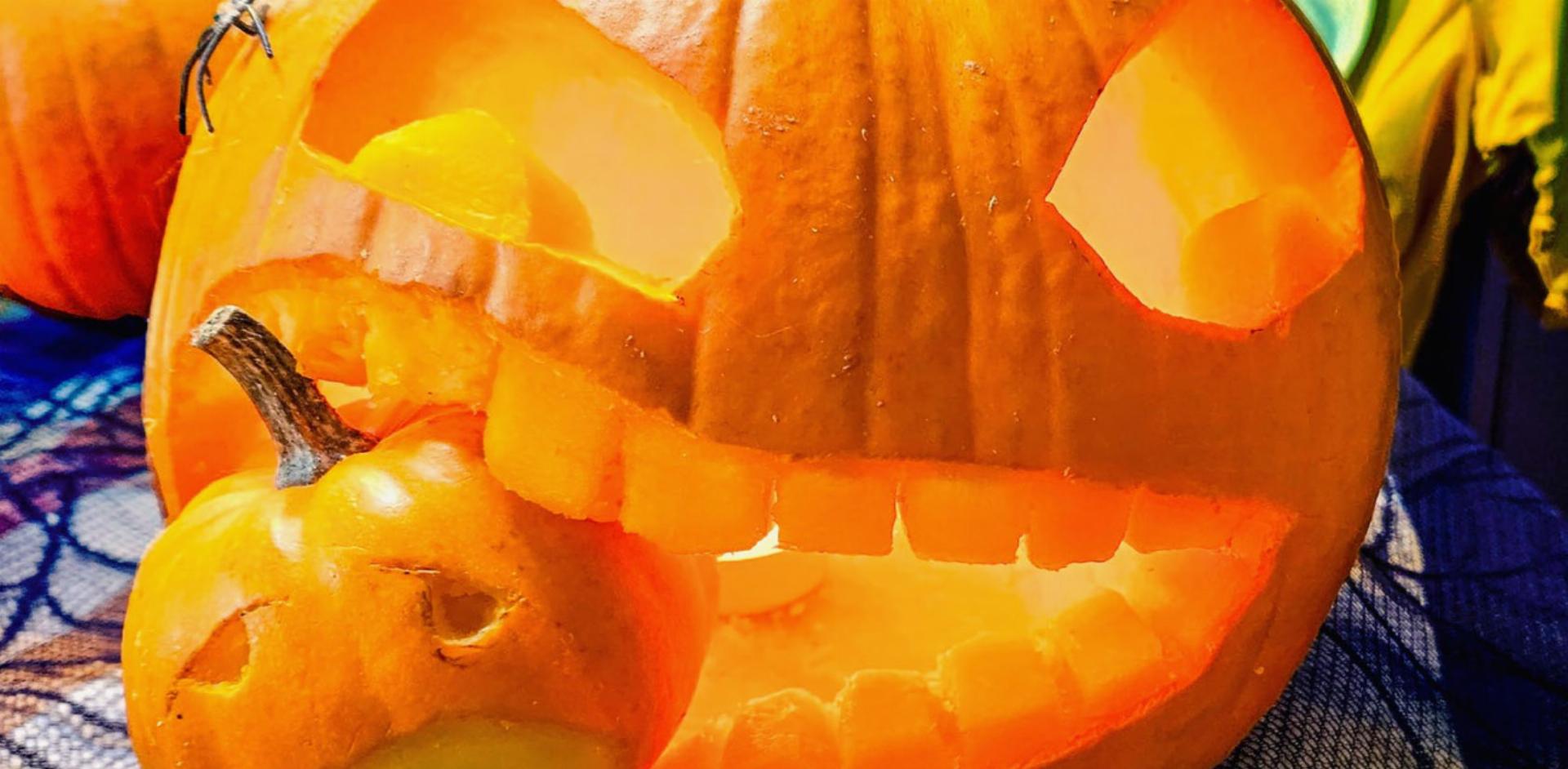 Vom Acker in den Hofladen – Kürbis im Frutigland - Das Bild wird blockiert. – Möglicherweise durch einen aktiven Adblocker.