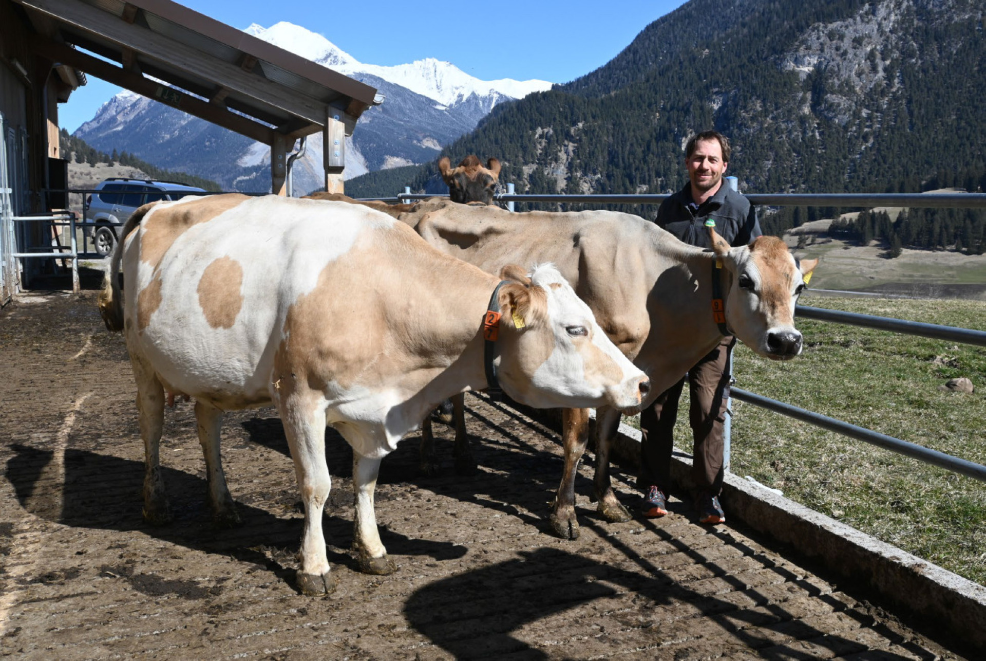 Klimaneutrale Kuhhaltung: Ein Pionier aus der Ostschweiz erzählt