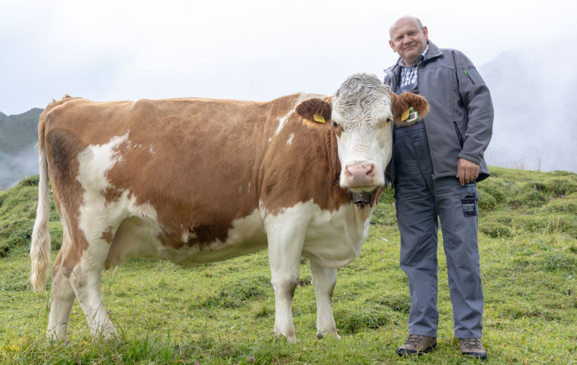 Lumpy-Skin-Krankheit – Kandergrunder Landwirt Ernst Wandfluh ist besorgt - Das Bild wird blockiert. – Möglicherweise durch einen aktiven Adblocker.
