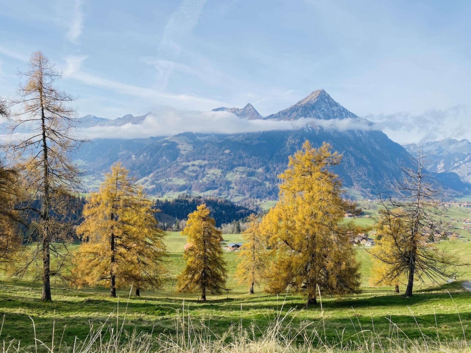 Letzte Herbsttage in Aeschiried fotografiert von Annerös Schneider, Spiez