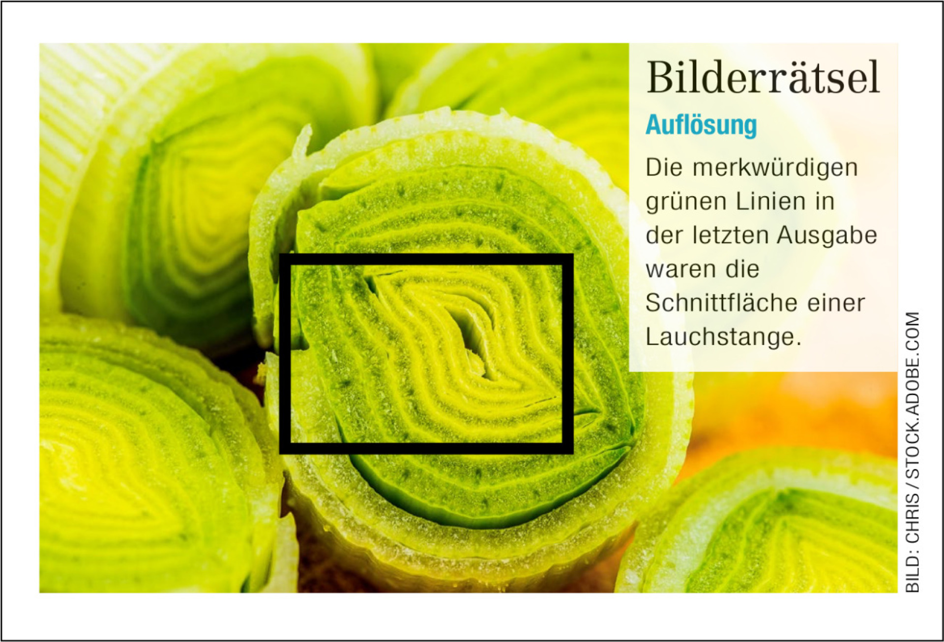 Bilderrätsel