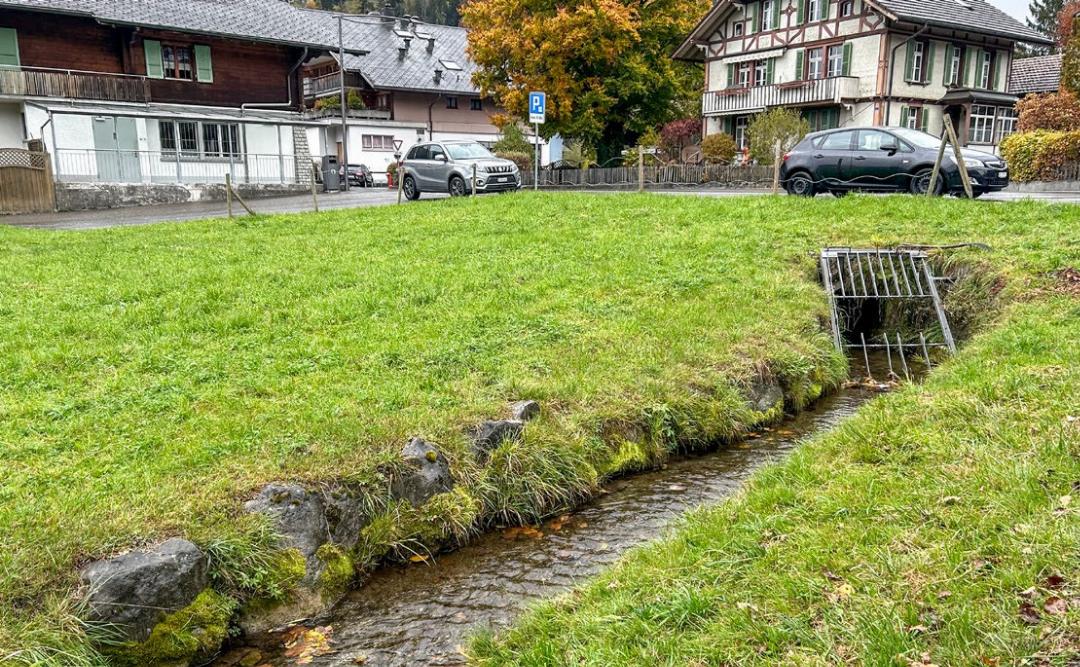 BILD: HANS RUDOLF SCHNEIDER. BILD: HANS RUDOLF SCHNEIDER.