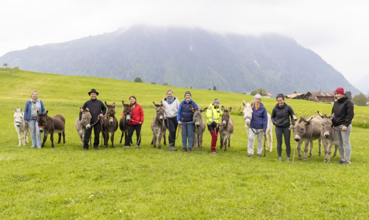 V. l.: Annina Wüthrich mit Piepino und Tschitscho, Olaf Müller (ebenfalls im unteren Bild) mit Renzo und Fränzi, Daniela Müller mit Seppi, Ramona Christen mit Beauty, Mirjam Christen mit Gina, Christa Schütz mit Kim, Susanna Christen mit der österreichisch-ungarischen Barock-Eselin Bailey, Luana Wenger mit Bänz und Johanna Stoller mit Gina