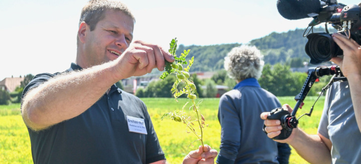 Bauer Urs Tellenbach zeigt seine Kirchererbsen. BILD: JBA /LID