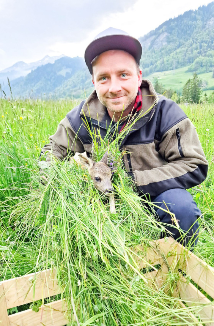 Rettung geglückt: Andy Vinzens hat mit der Drohne ein Rehkitz im hohen Gras geortet. Er hält es vorsichtig mit Grasbüscheln fest, denn die Rehmutter könnte ihr Kitz wegen Fremdgeruch verstossen.
